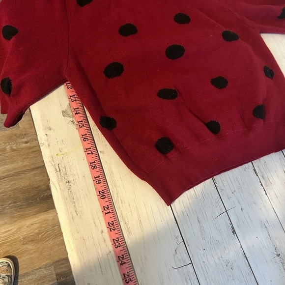 Compañía Fantástica Belle Divino polka dot sweater Large - Picture 5 of 6